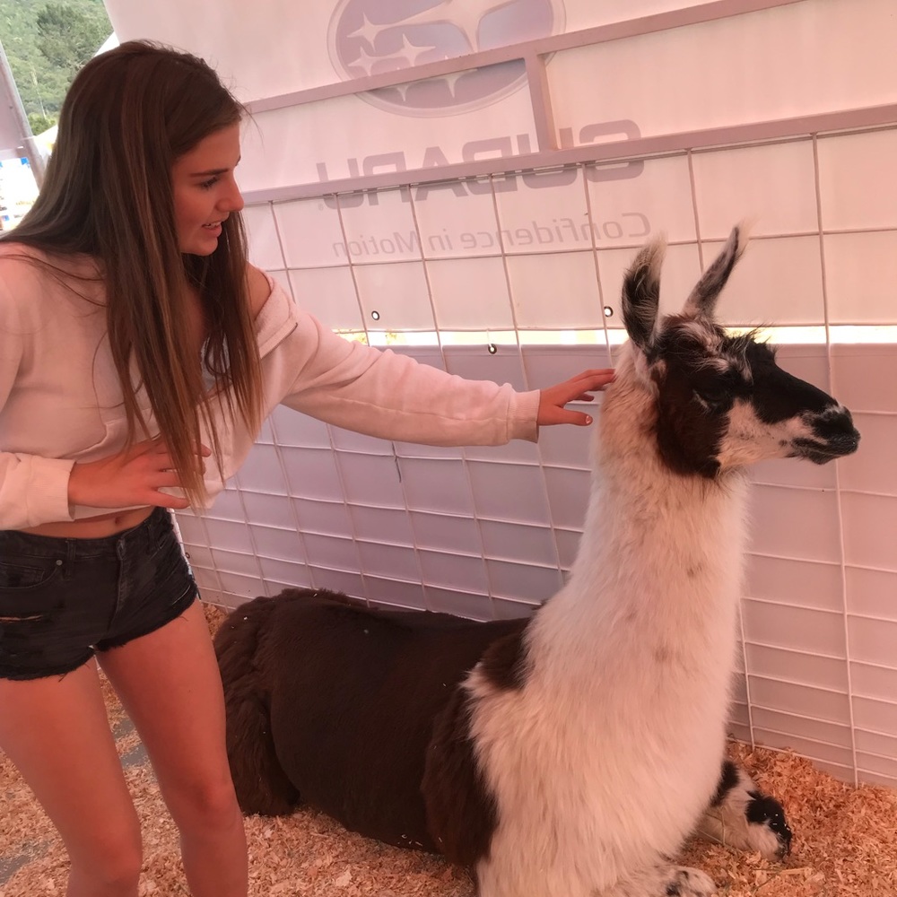 Meet your Posher, Abby